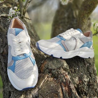 Werner 1911 Damen Halbschuh/Sneaker Albatros panna/hellgrau/Hellb (Weiß) 468-14 ALBATROS